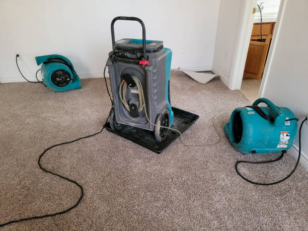 Best Water damage contractors near me  in Bear Creek, AK