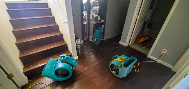 Best Commercial water damage restoration  in Bear Creek, AK