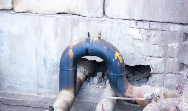 Best Water damage restoration near me  in Bear Creek, AK